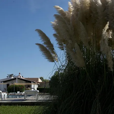 아파트 Apartamentos Sa Caleta